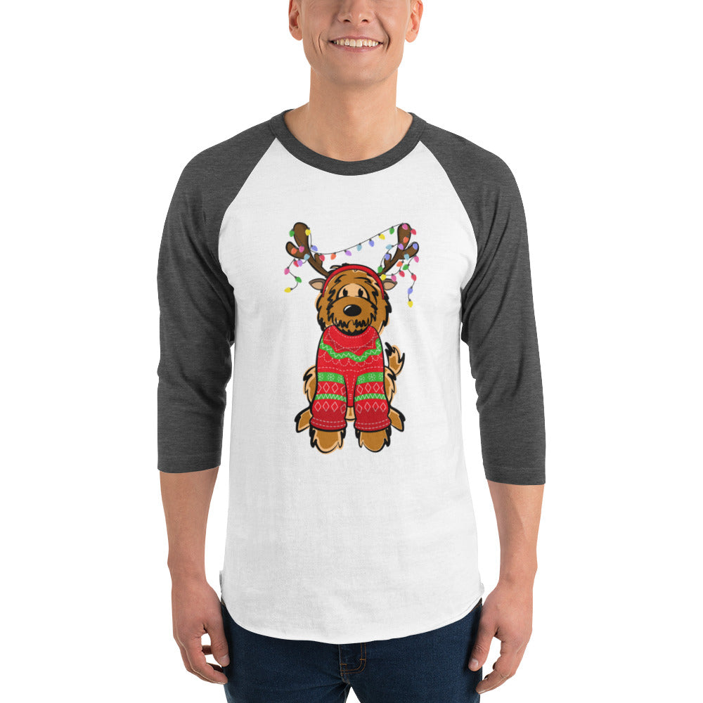 red belladoodle with sweater 3/4 sleeve raglan shirt