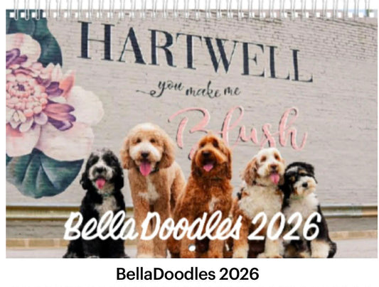 2026 BellaDoodle Calendar- Limited Supply