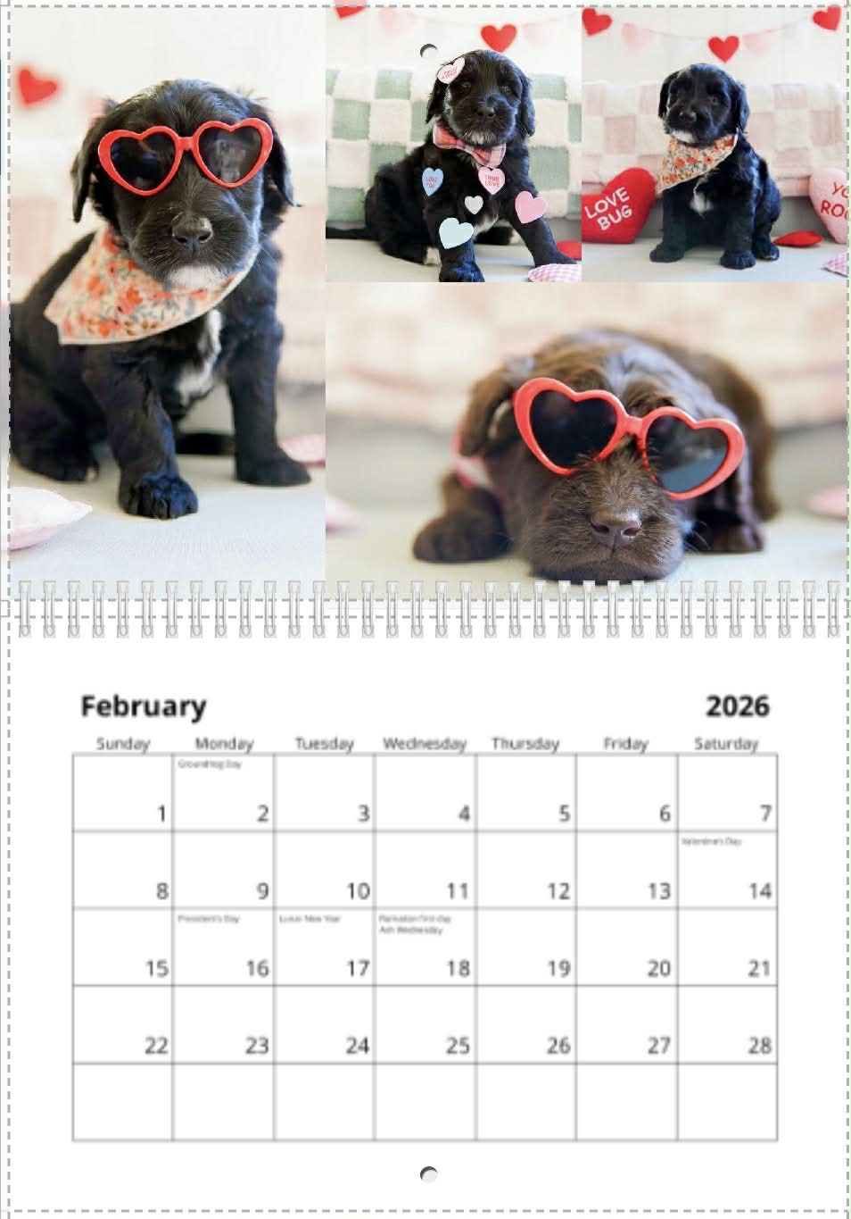 2026 belladoodle calendar- limited supply