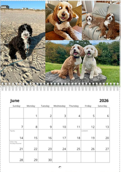 2026 BellaDoodle Calendar- Limited Supply