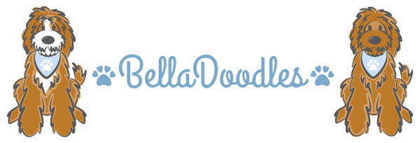 BellaDoodle Shop